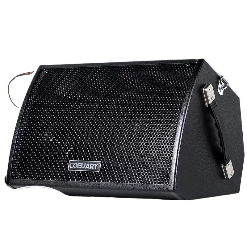 Musical Instrument Long - 60W 포크 기타 노래 재생 스피커