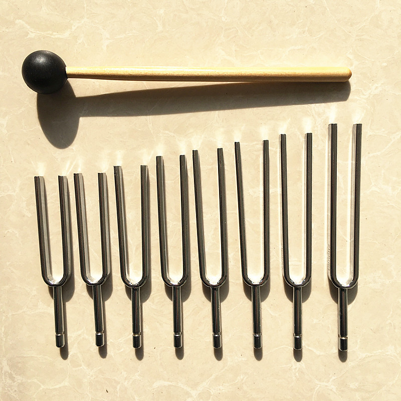 튜닝 포크 8그룹 음악 그룹 교육 그룹 256-512H - Musical Instrument Groups 리뷰 및 가격