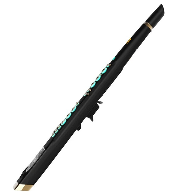 C20 트루 샘플링 국산 고급 지능형 전자 블로우, 전 - Musical Instrument That You Blow Into 리뷰 및 가격